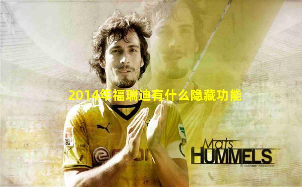 2014年福瑞迪有什么隐藏功能
