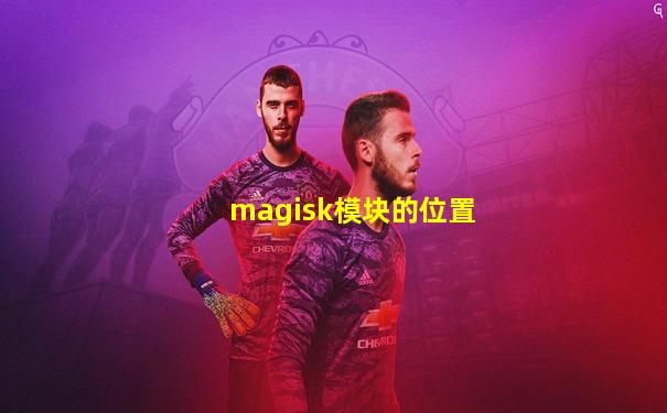 magisk模块的位置