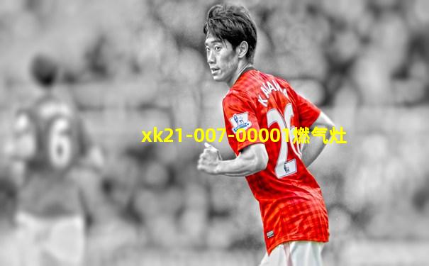 xk21-007-00001燃气灶