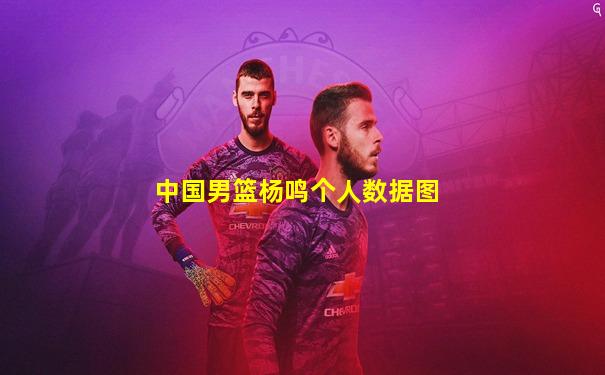 中国男篮杨鸣个人数据图