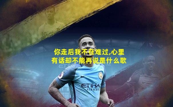 你走后我不在难过,心里有话却不能再说是什么歌