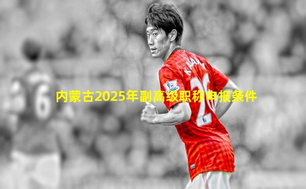 内蒙古2025年副高级职称申报条件