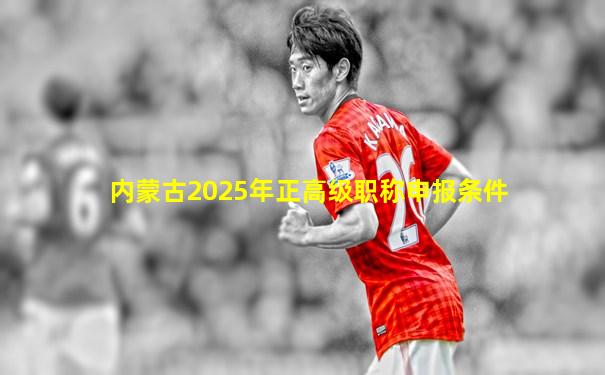 内蒙古2025年正高级职称申报条件