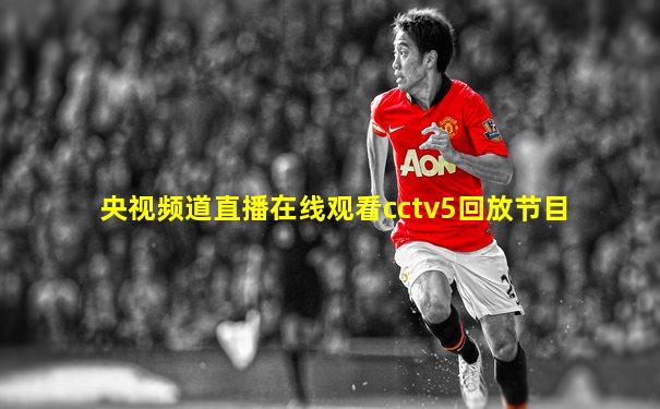 央视频道直播在线观看cctv5回放节目