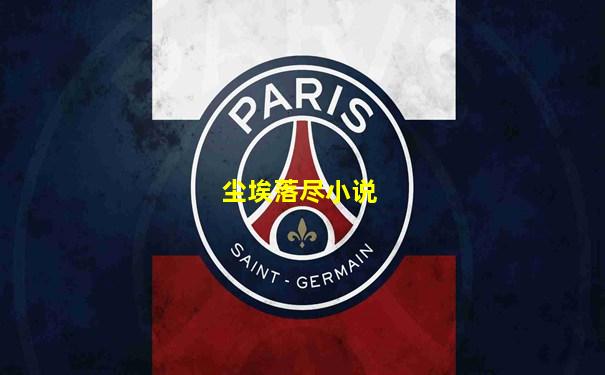 尘埃落尽小说