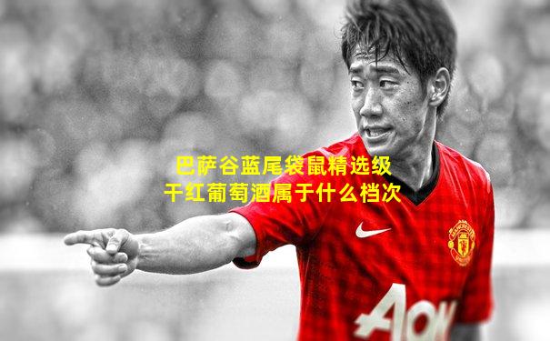 巴萨谷蓝尾袋鼠精选级干红葡萄酒属于什么档次