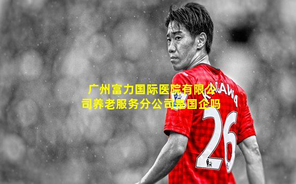 广州富力国际医院有限公司养老服务分公司是国企吗
