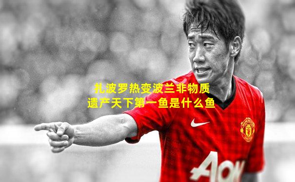 扎波罗热变波兰非物质遗产天下第一鱼是什么鱼