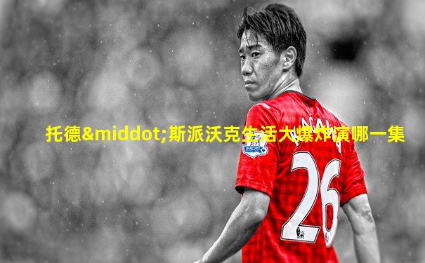 托德·斯派沃克生活大爆炸演哪一集