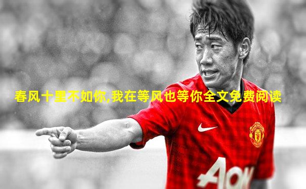 春风十里不如你,我在等风也等你全文免费阅读