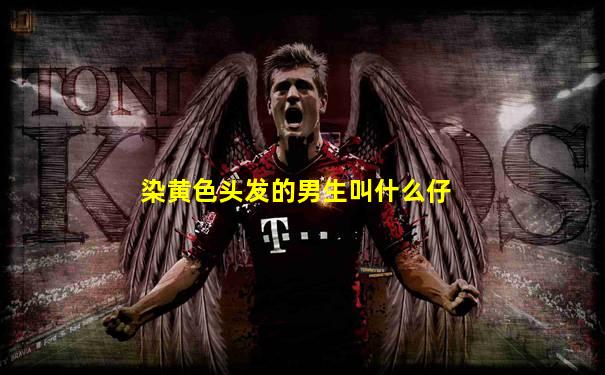 染黄色头发的男生叫什么仔