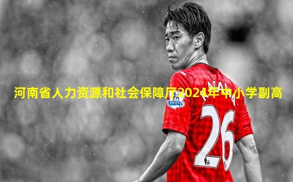 河南省人力资源和社会保障厅2024年中小学副高