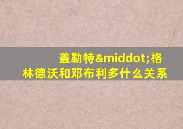 盖勒特·格林德沃和邓布利多什么关系