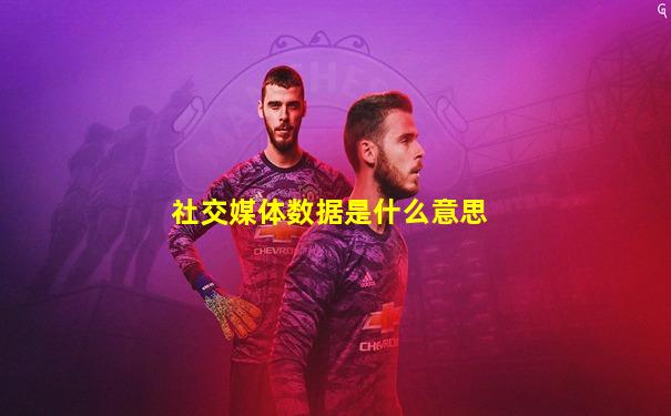 社交媒体数据是什么意思