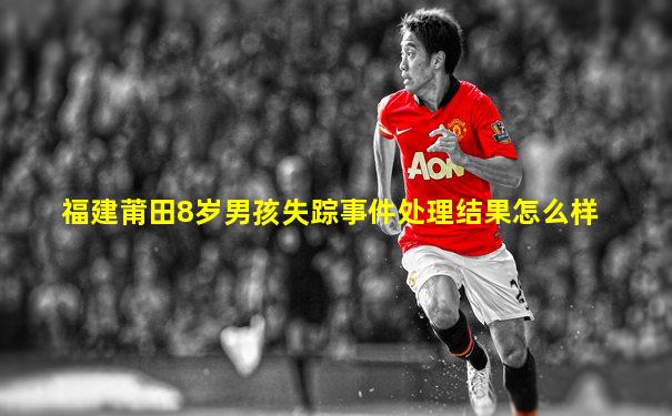 福建莆田8岁男孩失踪事件处理结果怎么样