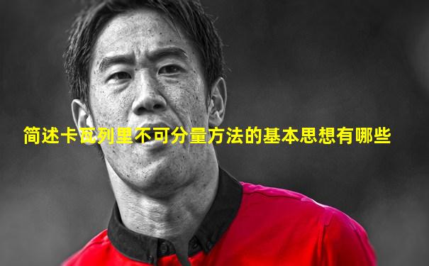简述卡瓦列里不可分量方法的基本思想有哪些
