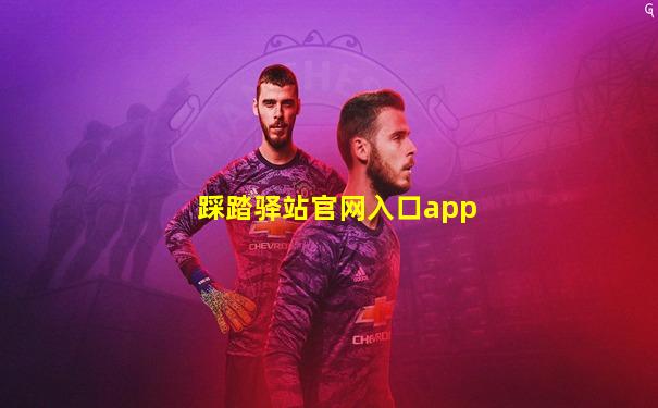 踩踏驿站官网入口app