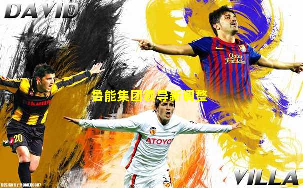 鲁能集团领导新调整